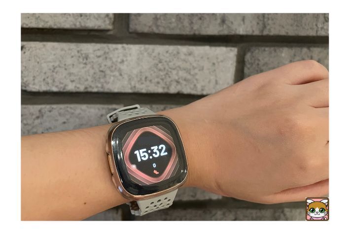 Fitbit Versa4